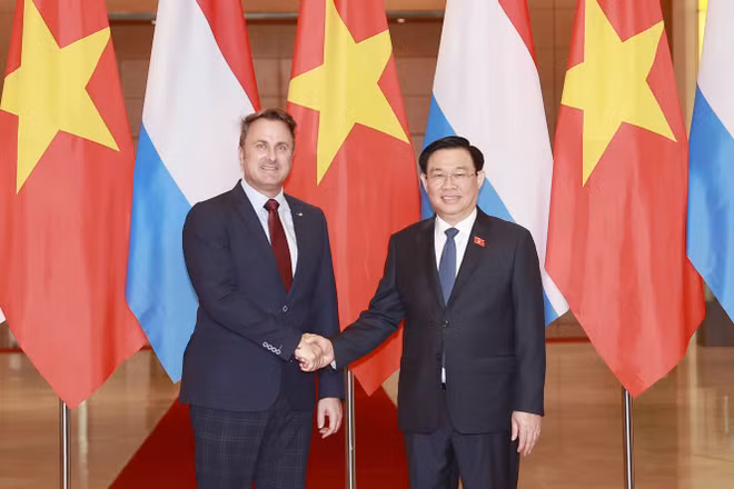 Luxemburgo dispuesto a compartir experiencias de transformación digital con Vietnam ảnh 1