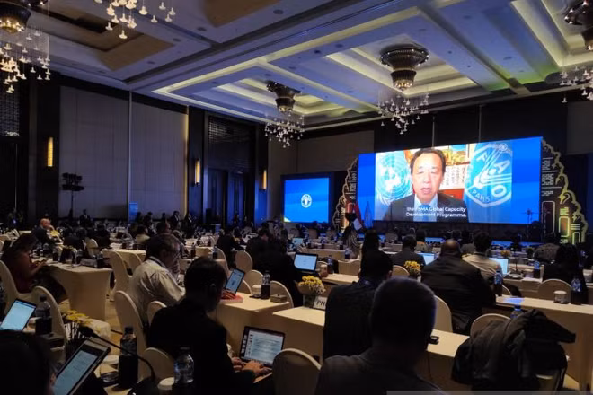 Indonesia se compromete con desarrollo sostenible de pesca ảnh 1