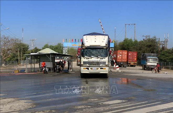 Promueve Vietnam lucha contra transporte ilegal de aves de corral ảnh 1 Promueve Vietnam lucha contra transporte ilegal de aves de corral ảnh 1