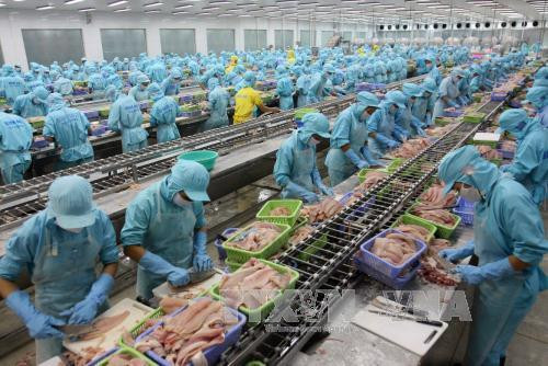 Ventas de productos acuícolas de Vietnam cayeron 28% en abril ảnh 1 Ventas de productos acuícolas de Vietnam cayeron 28% en abril ảnh 1