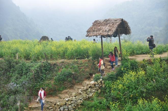 Siete atracciones turísticas imperdibles en Sapa ảnh 4