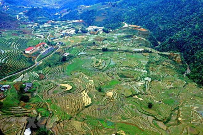 Siete atracciones turísticas imperdibles en Sapa ảnh 3 Siete atracciones turísticas imperdibles en Sapa ảnh 3