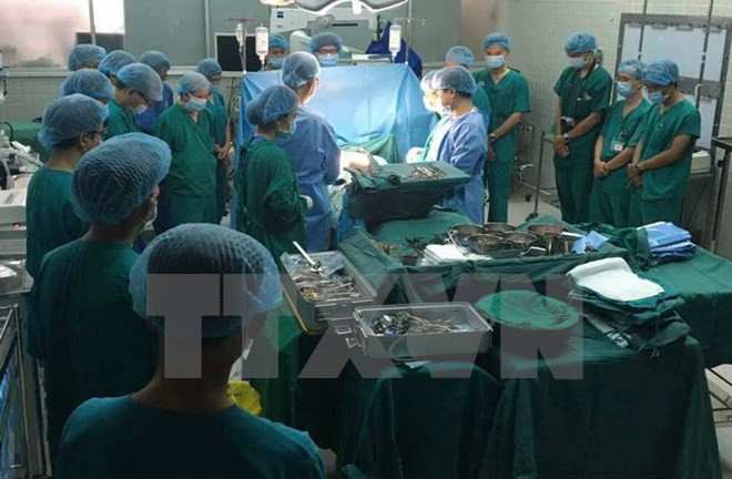 Amplían en Ciudad Ho Chi Minh proyecto de hospitales verdes ảnh 1
