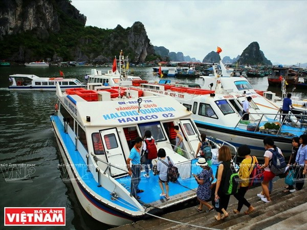 Provincia de Quang Ninh registra crecimiento económico más alto en último lustro ảnh 1 Provincia de Quang Ninh registra crecimiento económico más alto en último lustro ảnh 1