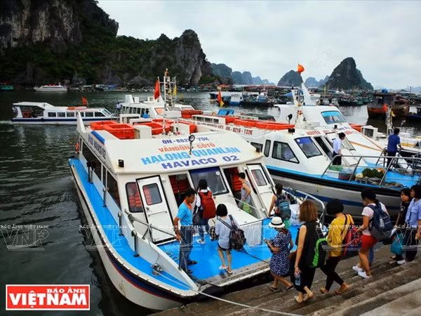 Provincia de Quang Ninh registra crecimiento económico más alto en último lustro ảnh 1