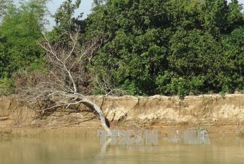 Provincia vietnamita implementará proyectos para prevenir inundaciones ảnh 1