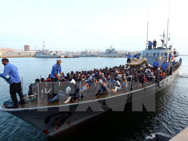 Aprueban resolución propuesta por Vietnam sobre derechos humanos ảnh 1