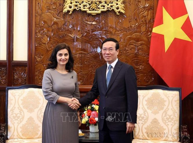 Vietnam y Bulgaria impulsan relaciones de amistad y cooperación multifacética ảnh 1 Vietnam y Bulgaria impulsan relaciones de amistad y cooperación multifacética ảnh 1