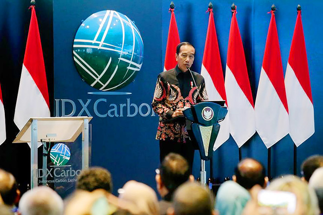 Indonesia lanza la primera bolsa de carbono ảnh 1