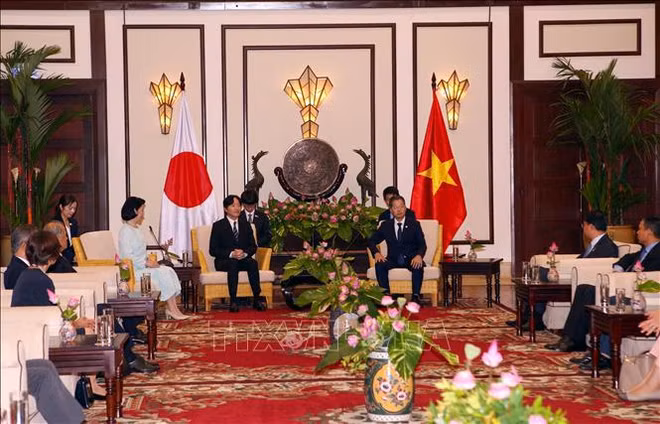 Da Nang desea estrechar relaciones con localidades japonesas ảnh 1