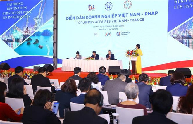 Embajador de Vietnam en Francia destaca fructífero desarrollo de cooperación bilateral ảnh 1 Embajador de Vietnam en Francia destaca fructífero desarrollo de cooperación bilateral ảnh 1