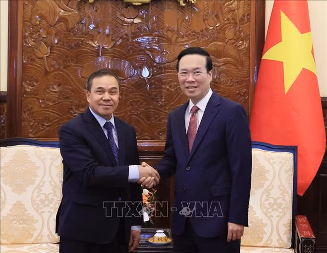 Presidente resalta desarrollo fructífero de lazos con Laos ảnh 1