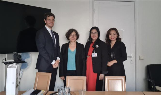 Vietnam busca apoyo a su candidatura a director regional de OMS ảnh 1 Vietnam busca apoyo a su candidatura a director regional de OMS ảnh 1