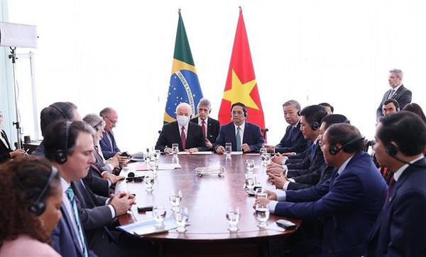 Vietnam y Brasil fomentan amistad tradicional y cooperación ảnh 2 Vietnam y Brasil fomentan amistad tradicional y cooperación ảnh 2