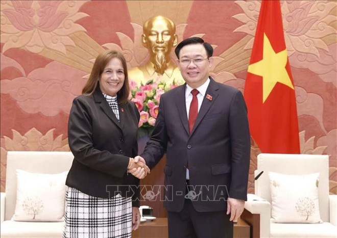 Vietnam-Cuba: Amistad especial cultiva el futuro ảnh 1 Vietnam-Cuba: Amistad especial cultiva el futuro ảnh 1