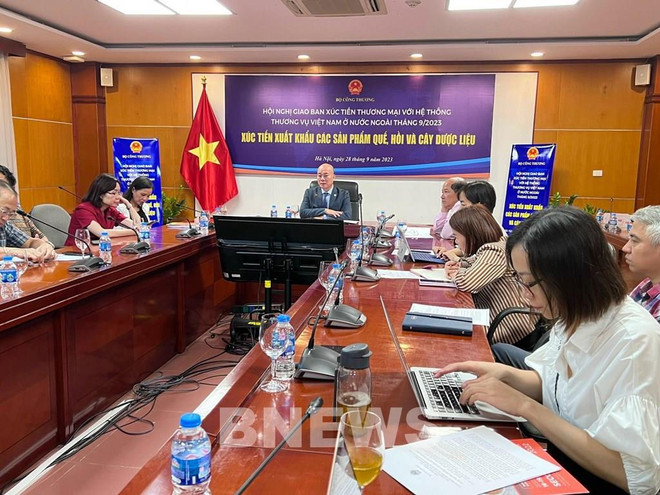 Amplían mercado de exportación de hierbas medicinales vietnamitas ảnh 1 Amplían mercado de exportación de hierbas medicinales vietnamitas ảnh 1