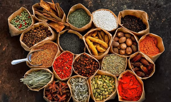 Amplían mercado de exportación de hierbas medicinales vietnamitas ảnh 2 Amplían mercado de exportación de hierbas medicinales vietnamitas ảnh 2