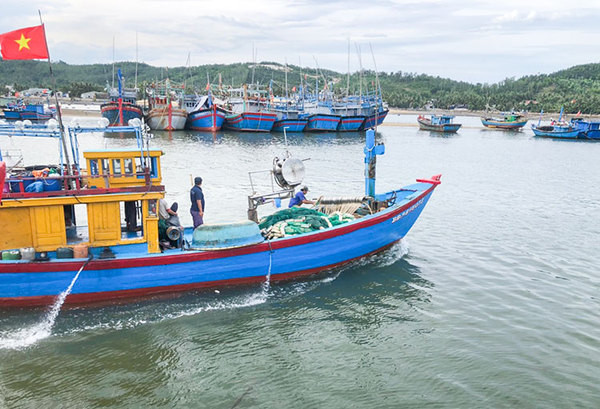 Provincia de Quang Ngai intensifica esfuerzos contra la pesca ilegal ảnh 1 Provincia de Quang Ngai intensifica esfuerzos contra la pesca ilegal ảnh 1