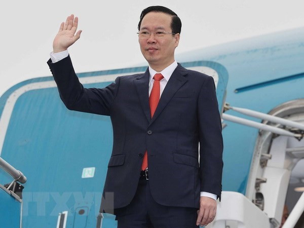 Oportunidad para incrementar cooperación multifacética Vietnam-Austria ảnh 1