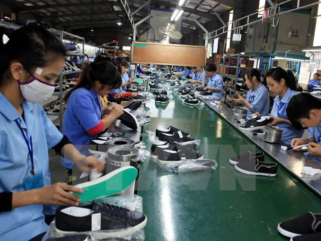 Comunidad Económica de ASEAN: oportunidades para el sector del cuero ảnh 1