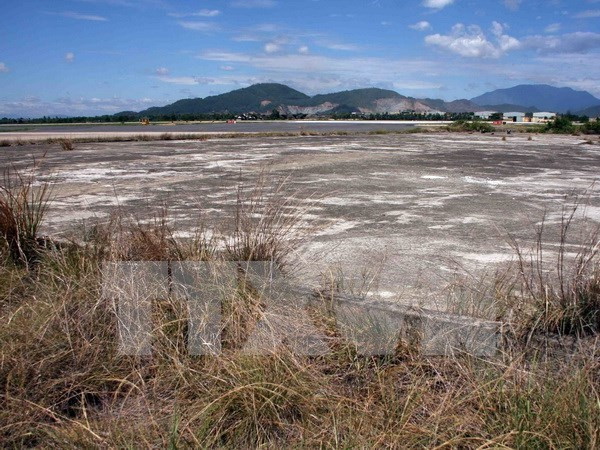 Vietnam y Estados Unidos cooperan en alivio de secuelas de dioxina ảnh 1 Vietnam y Estados Unidos cooperan en alivio de secuelas de dioxina ảnh 1