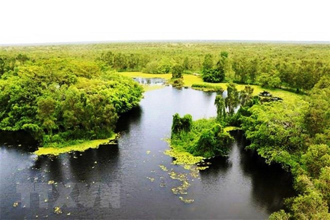 Fortalecen el turismo ecológico en Parque Nacional U Minh Thuong de Vietnam ảnh 2 Fortalecen el turismo ecológico en Parque Nacional U Minh Thuong de Vietnam ảnh 2