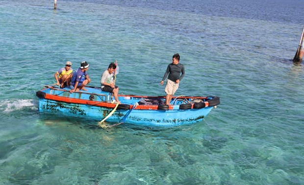 Exhortan a combatir pesca ilegal con medidas drásticas en Vietnam ảnh 2 Exhortan a combatir pesca ilegal con medidas drásticas en Vietnam ảnh 2