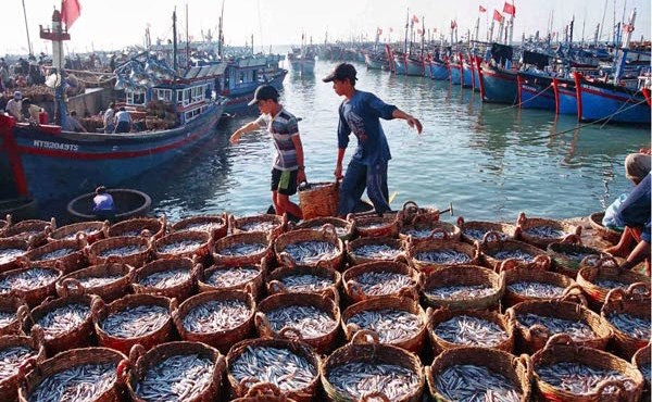 Exhortan a combatir pesca ilegal con medidas drásticas en Vietnam ảnh 1 Exhortan a combatir pesca ilegal con medidas drásticas en Vietnam ảnh 1