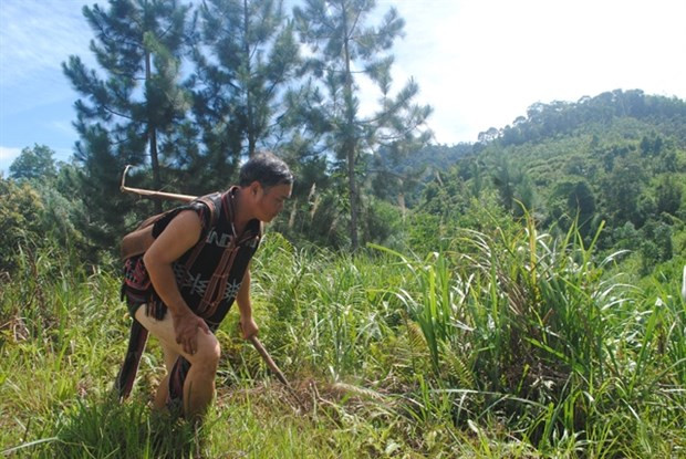 Vietnamitas se benefician del proyecto de gestión de recursos naturales Green Annamites ảnh 1