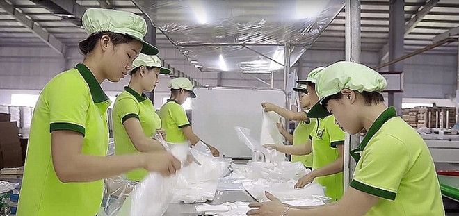 Programa 712 apoya al desarrollo socioeconómico de Vietnam ảnh 1