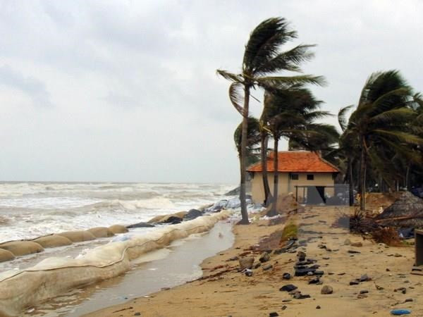 Desastres naturales provocan pérdidas de 43 millones de dólares para Ca Mau ảnh 1 Desastres naturales provocan pérdidas de 43 millones de dólares para Ca Mau ảnh 1
