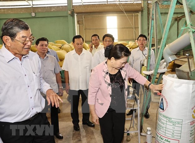Presidenta del Parlamento vietnamita realiza visita de trabajo a provincia de Soc Trang ảnh 1 Presidenta del Parlamento vietnamita realiza visita de trabajo a provincia de Soc Trang ảnh 1