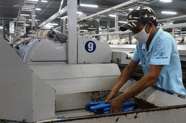 Recuperación económica de Vietnam puede verse afectada por el COVID-19, según el Banco Mundial ảnh 2