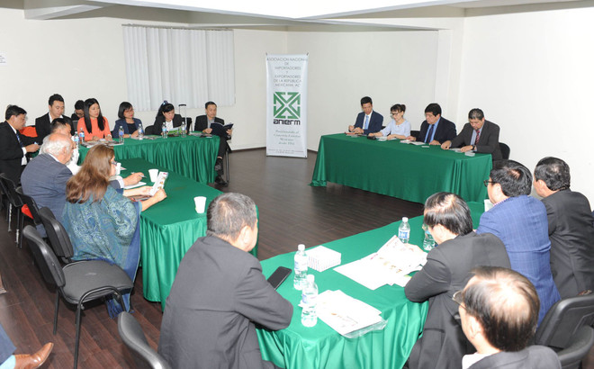Empresas vietnamitas estudian mercado de México ảnh 1 Empresas vietnamitas estudian mercado de México ảnh 1