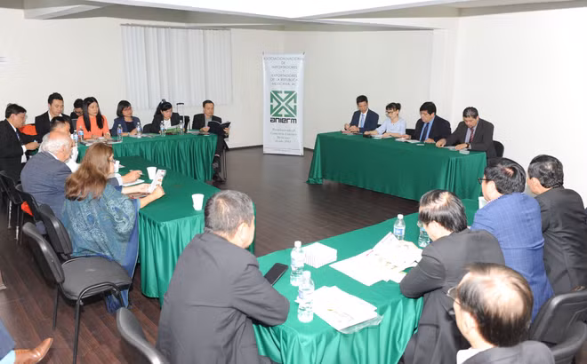 Empresas vietnamitas estudian mercado de México ảnh 1