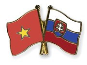 Conmemoran en Ciudad Ho Chi Minh aniversario 26 del Día de Constitución de Eslovaquia ảnh 1 Conmemoran en Ciudad Ho Chi Minh aniversario 26 del Día de Constitución de Eslovaquia ảnh 1