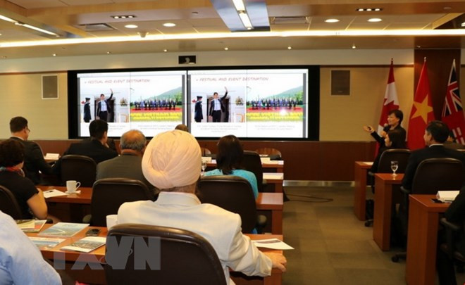 Impulsan cooperación de comercio e inversión entre ciudades vietnamita y canadiense ảnh 1 Impulsan cooperación de comercio e inversión entre ciudades vietnamita y canadiense ảnh 1