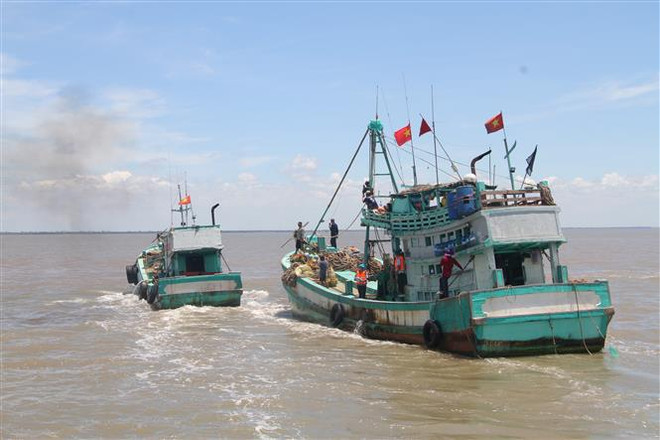 Vietnam une manos con el mundo para combatir IUU ảnh 1 Vietnam une manos con el mundo para combatir IUU ảnh 1