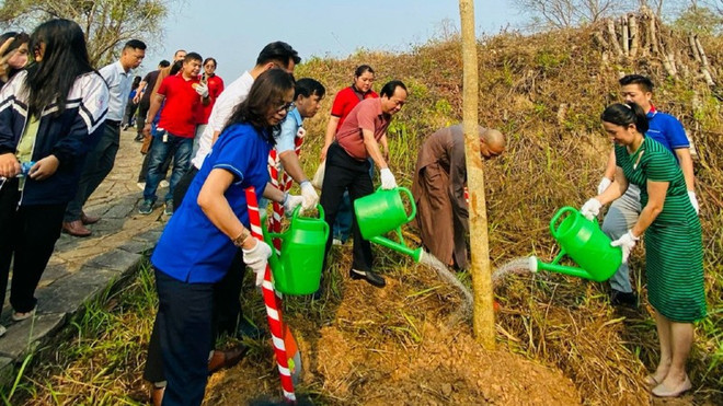 Vestigios del campo de batalla de Dien Bien Phu se cubren de verde ảnh 1 Vestigios del campo de batalla de Dien Bien Phu se cubren de verde ảnh 1