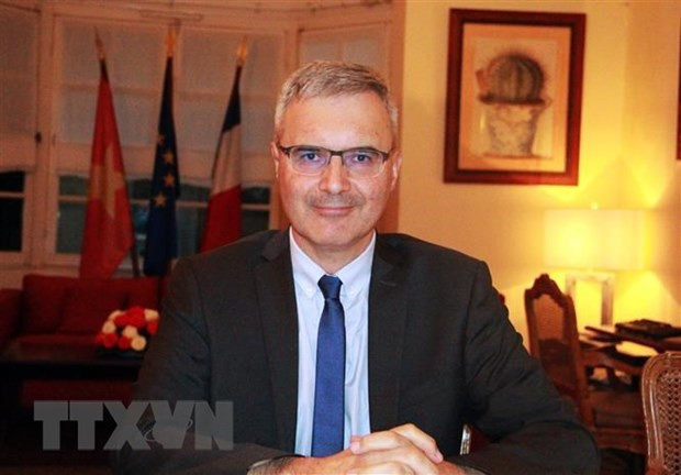 Nexos Vietnam-Francia desarrollan en diferentes sectores, afirma embajador francés ảnh 1 Nexos Vietnam-Francia desarrollan en diferentes sectores, afirma embajador francés ảnh 1