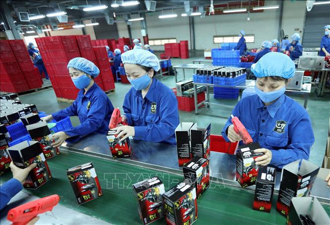 Provincia vietnamita experimenta alza en cantidad de nuevas empresas ảnh 1 Provincia vietnamita experimenta alza en cantidad de nuevas empresas ảnh 1