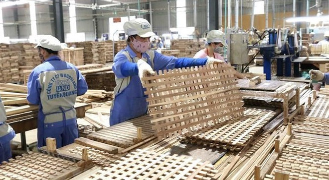 Vietnam espera lograr 16,3 mil millones de dólares de exportaciones de productos silvícolas en 2022 ảnh 2 Vietnam espera lograr 16,3 mil millones de dólares de exportaciones de productos silvícolas en 2022 ảnh 2