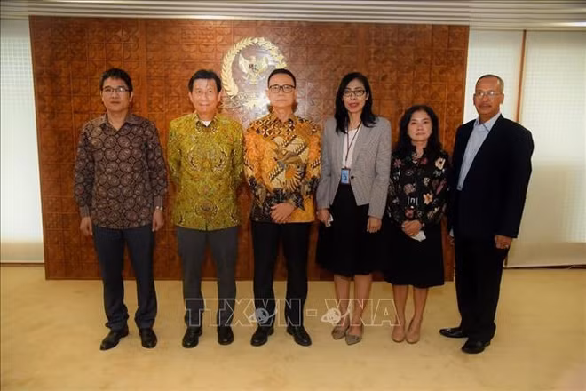 Vietnam e Indonesia continúan impulsando cooperación económica y comercial ảnh 1
