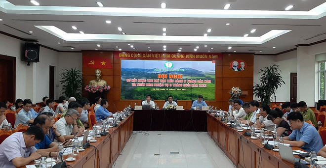 Vietnam espera lograr 16,3 mil millones de dólares de exportaciones de productos silvícolas en 2022 ảnh 1 Vietnam espera lograr 16,3 mil millones de dólares de exportaciones de productos silvícolas en 2022 ảnh 1