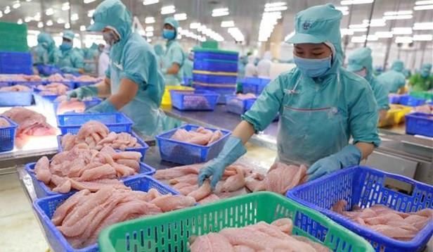 Diputado del Parlamento Europeo valora la posición de Vietnam ảnh 1 Diputado del Parlamento Europeo valora la posición de Vietnam ảnh 1