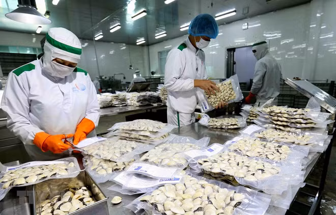 Crecen exportaciones agrícolas, silvícolas y acuícolas de Vietnam ảnh 1