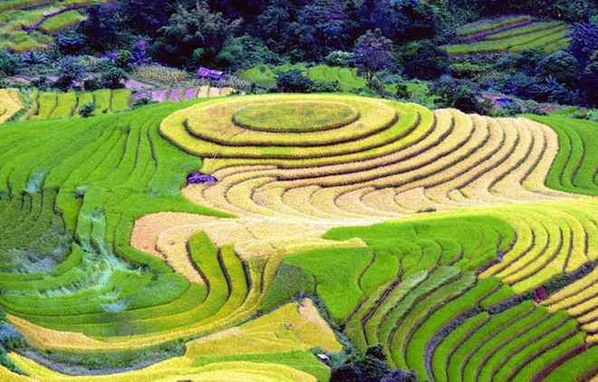 Destacan a Vietnam como destino impresionante en Feria Internacional de Turismo y Viajes de Montreal ảnh 1