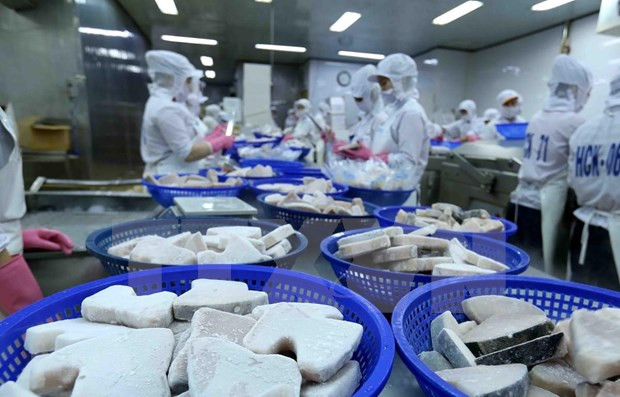 Señales positivas para exportaciones de Da Nang en el último trimestre de 2019 ảnh 1 Señales positivas para exportaciones de Da Nang en el último trimestre de 2019 ảnh 1