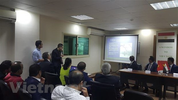 Impulsan Vietnam y Egipto cooperación en sectores potenciales ảnh 1