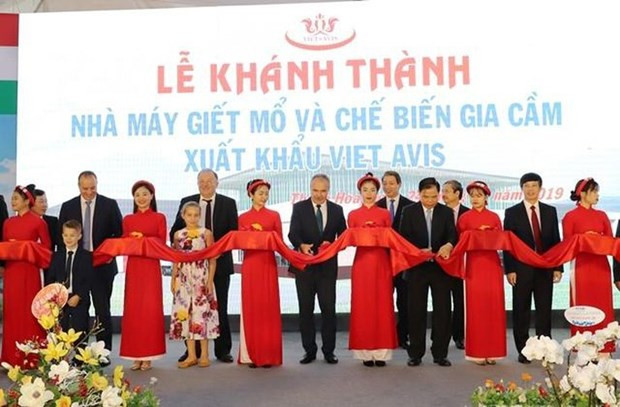 Inauguran moderna planta de procesamiento de aves de corral en Thanh Hoa ảnh 1 Inauguran moderna planta de procesamiento de aves de corral en Thanh Hoa ảnh 1